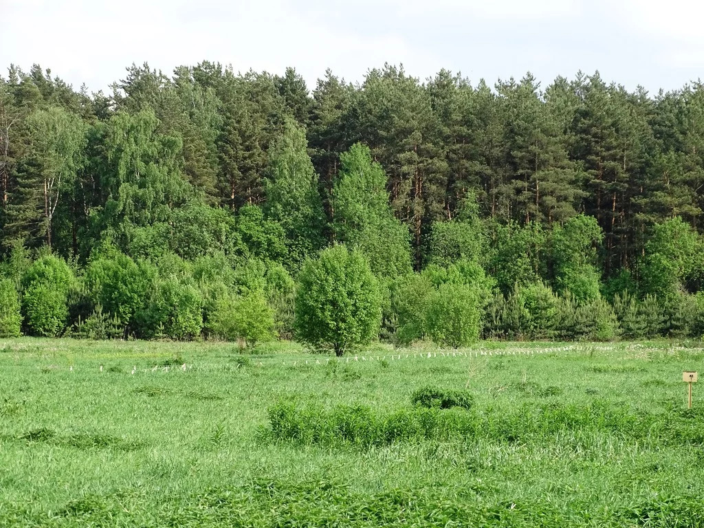 Где Купить В Раменском Районе