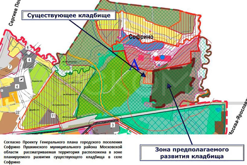 Купить Проститутку В Подмосковье Пушкинский Район