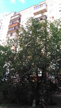 3 кв г. Раменское, ул Приборостроителей д.21 3 кв г. Раменское, ул Приборостроителей д.21