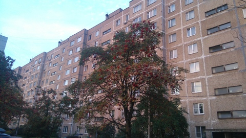 1-ка в центре Подольска 1-ка в центре Подольска