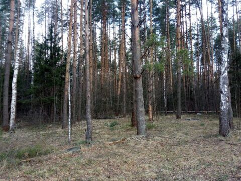 Земельный участок деревня Аксиньино 12 соток Земельный участок деревня Аксиньино 12 соток