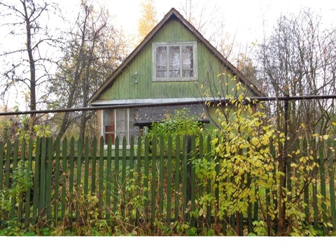СНТ Пресс СНТ Пресс