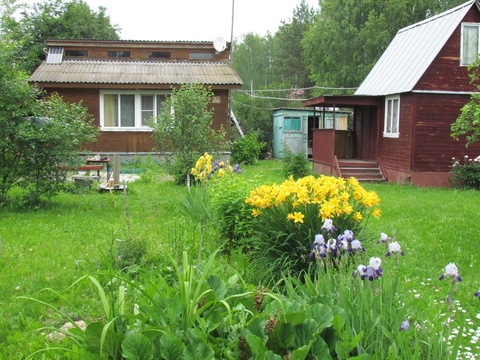 Продается дача в СНТ Ягорма вблизи с. Бояркино Озерского района Продается дача в СНТ Ягорма вблизи с. Бояркино Озерского района