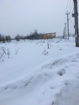 Срочно продается участок в кп "Авиатор Нестеров" Срочно продается участок в кп "Авиатор Нестеров"