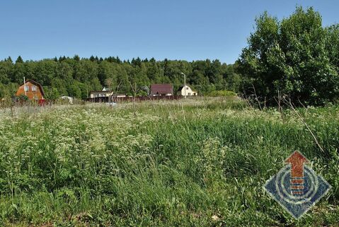 Земельный участок 8 соток в СНТ Горки у д. Большие Горки Земельный участок 8 соток в СНТ Горки у д. Большие Горки