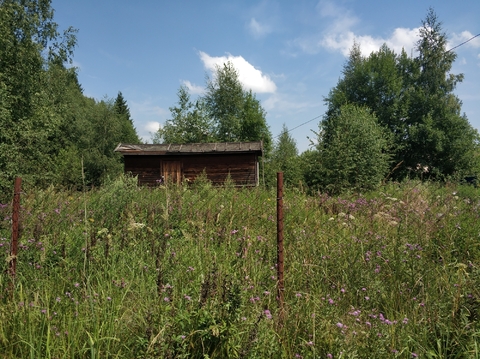 Продается прилесной участок 6,1 сотка в СНТ «Конструктор», 55 км о Продается прилесной участок 6,1 сотка в СНТ «Конструктор», 55 км о