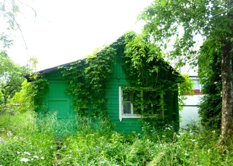 СНТ "Красная Лента" СНТ "Красная Лента"