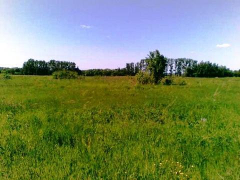 Земли под дачное строительство, 10 Га. Земли под дачное строительство, 10 Га.