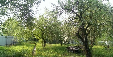 Продается земельный участок с частью дома г. Пушкино Продается земельный участок с частью дома г. Пушкино