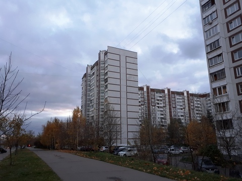 Сдам помещение 18 кв.м. Зеленоград Сдам помещение 18 кв.м. Зеленоград