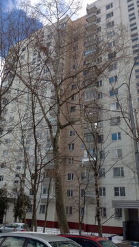 Новоясеневская Новоясеневская