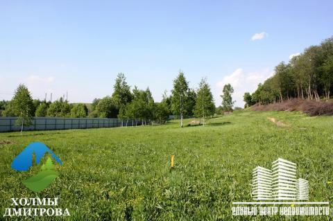 Участок 8.1 сот, г/п Дмитров, в районе д. Ближнево, дп "Холмы Дмитров Участок 8.1 сот, г/п Дмитров, в районе д. Ближнево, дп "Холмы Дмитров