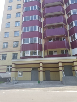1 к. квартира Пушкино, ул. Писаревская, д.5. 1 к. квартира Пушкино, ул. Писаревская, д.5.