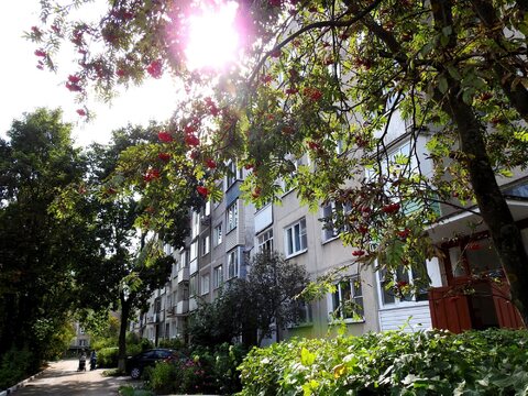 Продается 1-я квартира Продается 1-я квартира