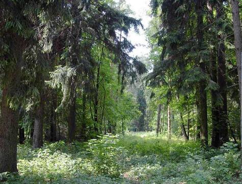 Срочно продам участок ИЖС Срочно продам участок ИЖС