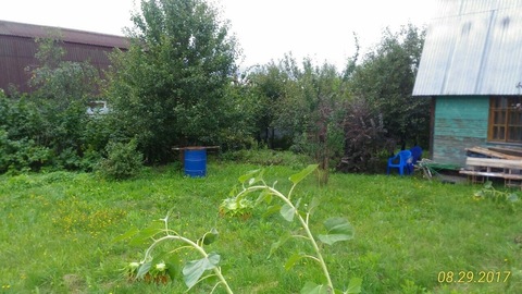 Продается дача садовый дом 70 кв.м , участок 6 соток земли Продается дача садовый дом 70 кв.м , участок 6 соток земли