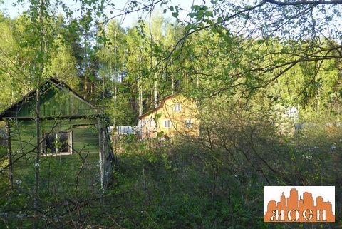 3.5 соток СНТ Лесные Поляны рядом с Королевым 3.5 соток СНТ Лесные Поляны рядом с Королевым