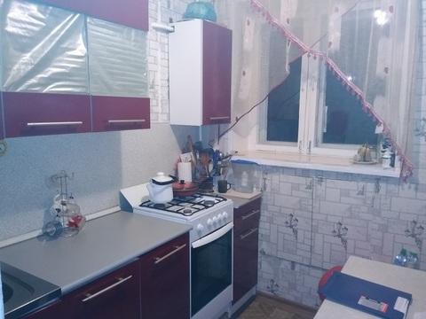 1 - комнатная квартира в п. Автополигон, д. 8 1 - комнатная квартира в п. Автополигон, д. 8