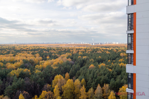 1-комнатная квартира, 39 кв.м., в ЖК "Оранж Парк" 1-комнатная квартира, 39 кв.м., в ЖК "Оранж Парк"