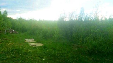Участок Павловский Посад г, Дальняя д, Заря-2 СНТ Участок Павловский Посад г, Дальняя д, Заря-2 СНТ