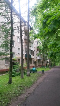 3-комнатная квартира Солнечногорск, ул.Подмосковная, д.17 3-комнатная квартира Солнечногорск, ул.Подмосковная, д.17