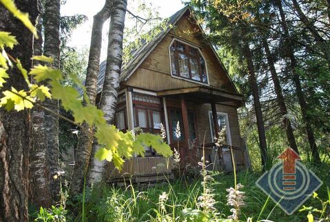 Дача в СНТ Вниистройдормаш у д. Ивановка Дача в СНТ Вниистройдормаш у д. Ивановка