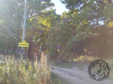 Участок 5,5 соток на краю леса, СНТ Дубрава, Климовск, Подольск. Участок 5,5 соток на краю леса, СНТ Дубрава, Климовск, Подольск.