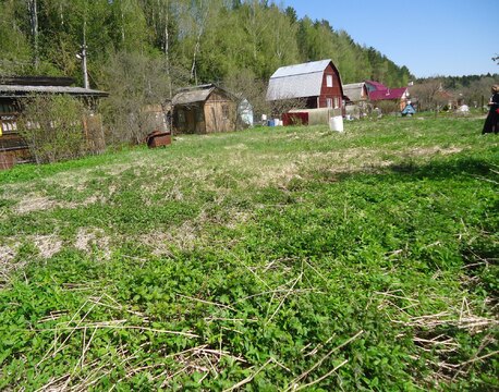 Продается участок СНТ Елочка Продается участок СНТ Елочка