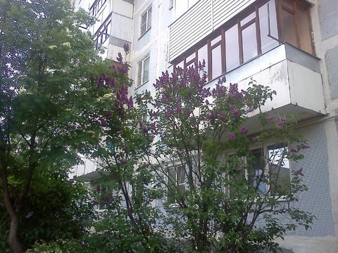 1-комнатная квартира в Голицыно, Городок-17, дом 25 1-комнатная квартира в Голицыно, Городок-17, дом 25