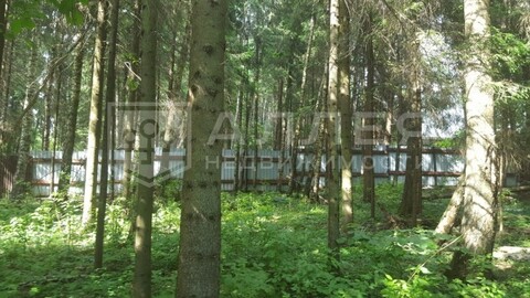 Лесной участок 15 сот. Лесной участок 15 сот.