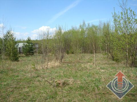Участок 9 соток в СНТ Купелицы у д. Купелицы Участок 9 соток в СНТ Купелицы у д. Купелицы