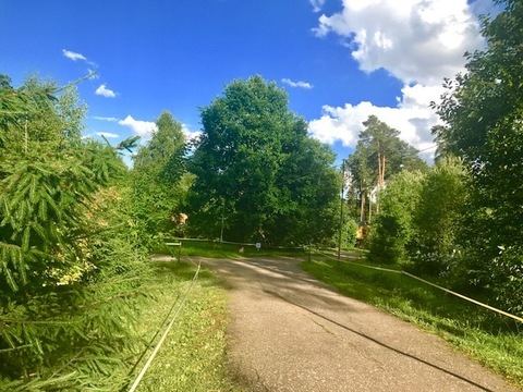 Продаю лесной участок 18 соток. Жаворонки Продаю лесной участок 18 соток. Жаворонки