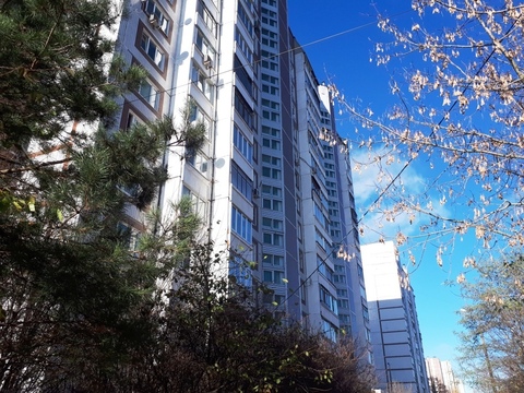 Продам торговую площадь 160 кв.м. Зеленоград 16 мкр Продам торговую площадь 160 кв.м. Зеленоград 16 мкр