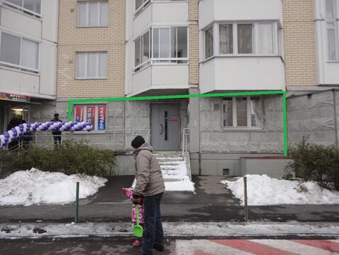Аренда торгового помещения Аренда торгового помещения