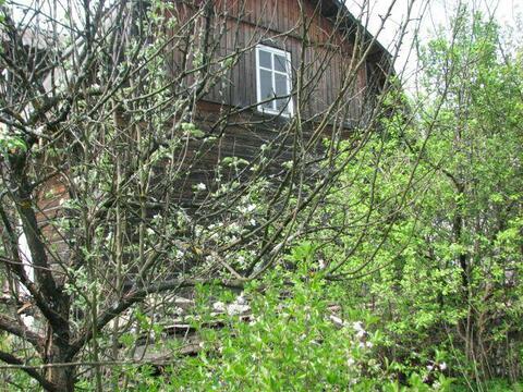 6 соток рядом с г.Лобня с\т Нефтехимик Дмитровское ш. 25 км.от МКАД 6 соток рядом с г.Лобня с\т Нефтехимик Дмитровское ш. 25 км.от МКАД