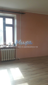 Свободная продажа! Один взрослый собственник, более 5-ти лет в собств Свободная продажа! Один взрослый собственник, более 5-ти лет в собств