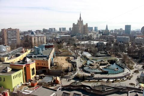 Квартира с превосходными видами из окон рядом с Московским Зоопарком. Квартира с превосходными видами из окон рядом с Московским Зоопарком.