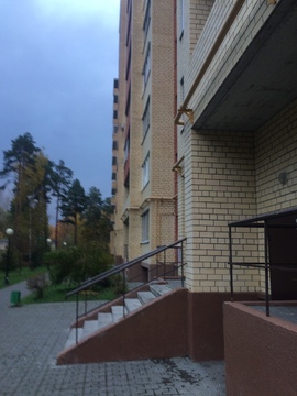 Аренда. 1-но комнатная квартира. г.о. Домодедово, сан. Подмосковье Аренда. 1-но комнатная квартира. г.о. Домодедово, сан. Подмосковье