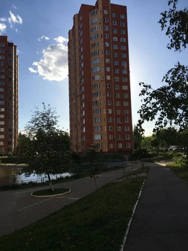 1-к квартира, Щёлково, Центральная улица, 96к2 1-к квартира, Щёлково, Центральная улица, 96к2