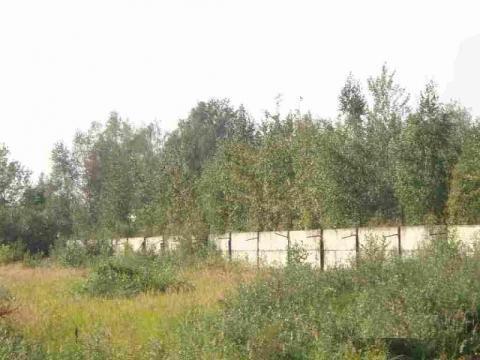 Пром. участок 3,6 Га с ж/д веткой в г.Электроугли в 29 км от МКАД Пром. участок 3,6 Га с ж/д веткой в г.Электроугли в 29 км от МКАД