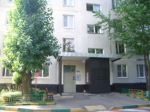 Сдается однокомнатная квартира Сдается однокомнатная квартира