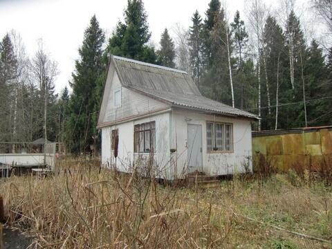 Продается участок в СНТ рядом с г.Пушкино Продается участок в СНТ рядом с г.Пушкино