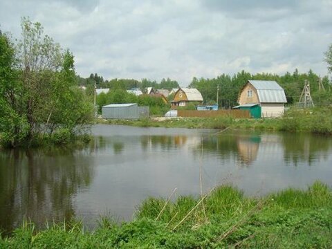 Дачный участок в сосновом лесу 55 км от мкада. д. Дальняя Дачный участок в сосновом лесу 55 км от мкада. д. Дальняя