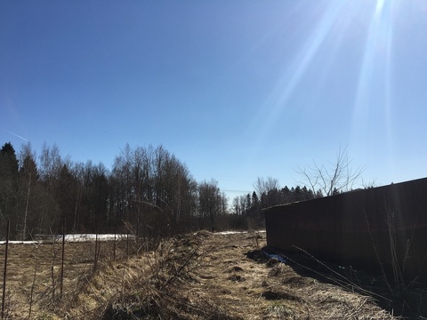 Удино. Участок рядом с лесом. 30 км от МКАД (Рогачевское шоссе) Удино. Участок рядом с лесом. 30 км от МКАД (Рогачевское шоссе)