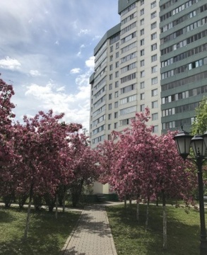 Двухкомнатная квартира без отделки в ЖК "Парк-сити", первый корпус Двухкомнатная квартира без отделки в ЖК "Парк-сити", первый корпус