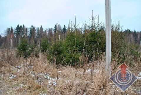 Продажа земельного участка 15 соток в д. Монаково Продажа земельного участка 15 соток в д. Монаково
