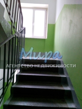 Продам двухкомнатную квартиру в Томилино. Один взрослый собственник. Продам двухкомнатную квартиру в Томилино. Один взрослый собственник.