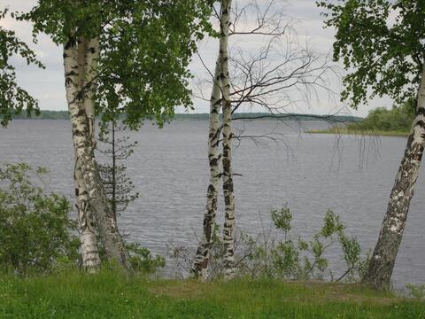 Дачный Участок, ш. Горьковское, 50км. дер. Алексеево. Дачный Участок, ш. Горьковское, 50км. дер. Алексеево.
