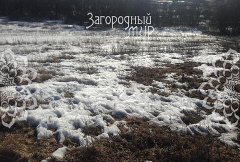 Волоколамское ш, 45 км от МКАД, Андреевское. Волоколамское ш, 45 км от МКАД, Андреевское.
