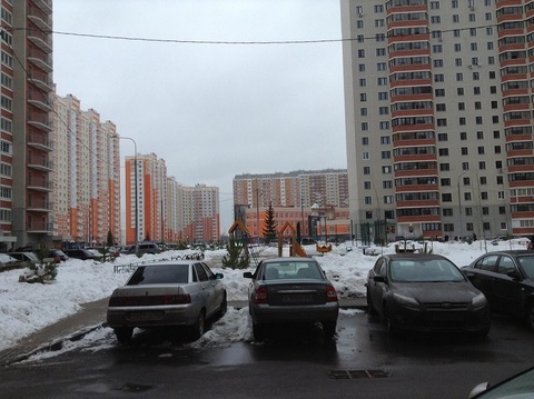 Уютная квартира в Дрожжино Уютная квартира в Дрожжино